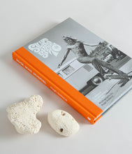 Load image into Gallery viewer, Silver Skate 70s Book